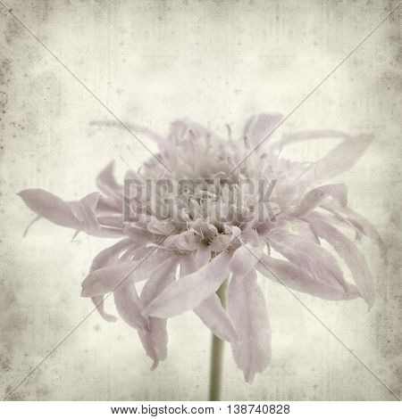 Textured Old Paper Background