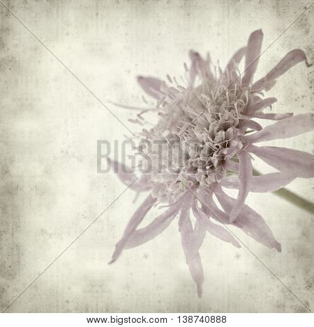 Textured Old Paper Background