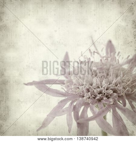 Textured Old Paper Background