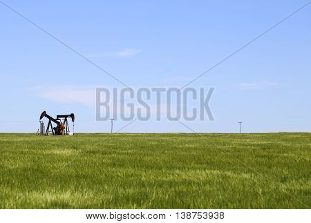 HALSTEAD, KANSAS, USA - MAY 17, 2015: Green cornfield near Halstead with a borehole pump placed inside it.