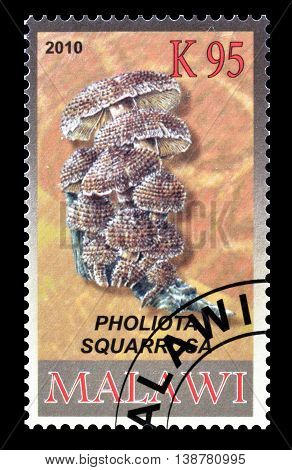 MALAWI - CIRCA 2010 : Cancelled postage stamp printed by Malawi, that shows Shaggy scalycap.