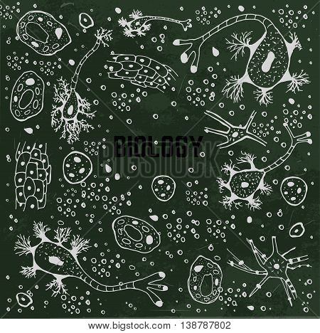 Biological background vector illustration. Micro world editable concept. Hand drawn outlined white doodles on a dark green textured blackboard. Scentific bio pattern.