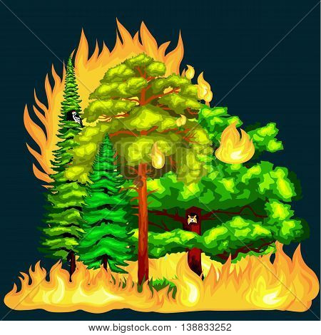 Forest Fire, fire in forest landscape damage, nature ecology disaster, hot burning trees, danger forest fire flame with smoke, blaze wood background vector illustration. Wildfire burning tree in red and orange color.