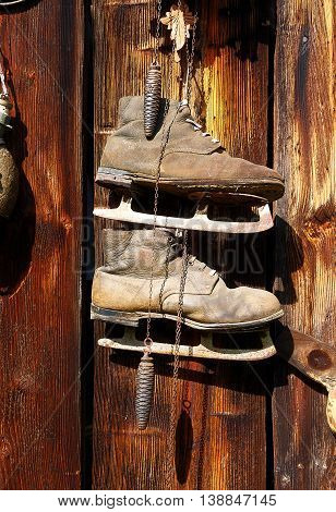 antique old style retro object assemblage on a wooden wall, rustic stile. Old skates