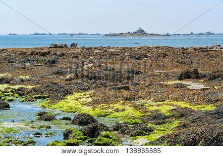 coastal scenery around Penmarch in the Finistere department in Brittany France