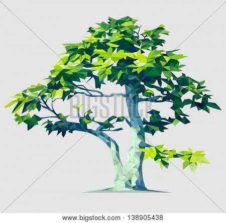 Vector polygonal tree illustration. Low poly style. Design element. Polygon stylized, based on a real tree.