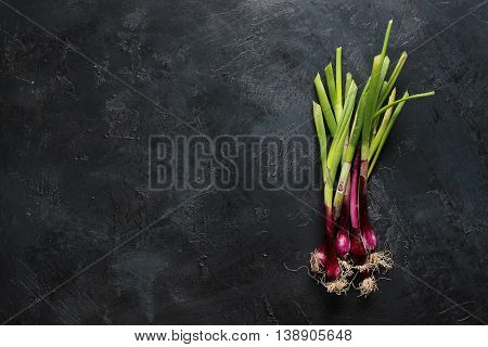 purple spring onions on dark table background