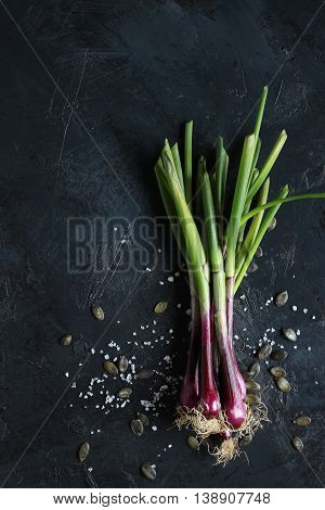 purple spring onions on dark table background