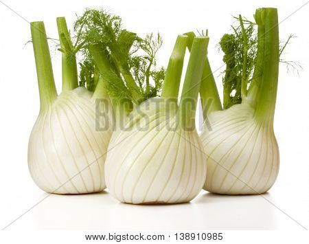 Fresh fennel bulb isolated on white background close up