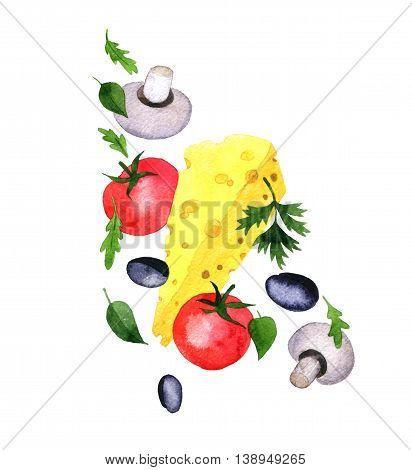 watercolor drawing pizza ingredient, red tomato and black olives, arugula, cheese, parsley leaves and champignons, hand drawn illustration