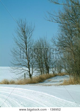 Snedækkede land tilbage vej