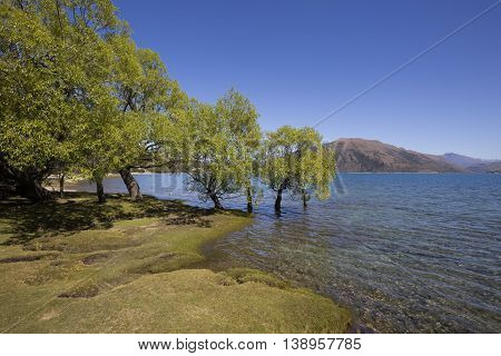 Dublin Bay at Lake Wanaka, New Zealand