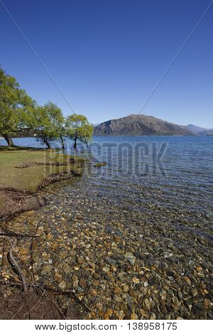 Dublin Bay at Lake Wanaka, New Zealand