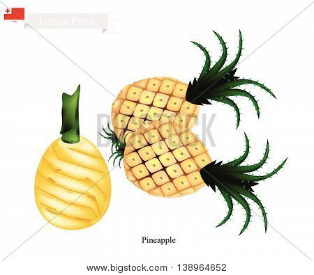 Tonga Fruit Illustration of Pineapple. One of The Most Popular Fruits in Tonga.