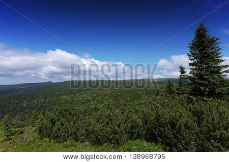 Sunny Summer Day In Krkonose Mountains National Park