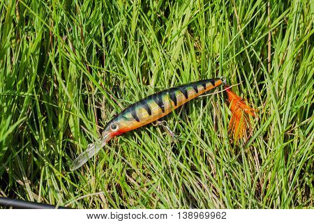 Bright predator bait to spinning on a natural background of green grass