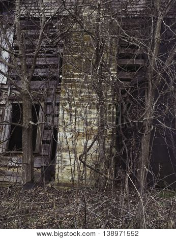 Chimney of abandoned house in Appalachia with overgrown vines, Chilhowie, Virginia