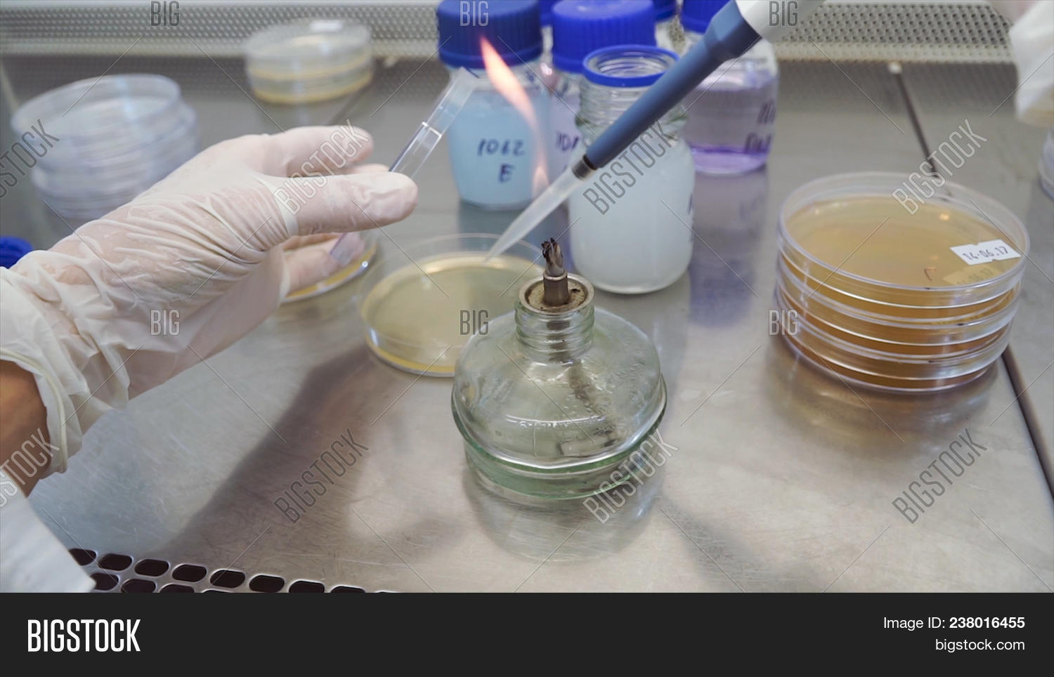 Bunsen Burner Flame Image & Photo (Free Trial) Bigstock