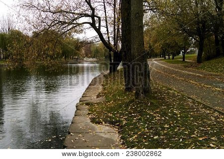 Beautiful View Of The Avenue In The Spring, Autumn.