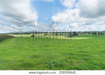 Long View New Zealand Dairy Farm  Wide Angle Landscape And Cattle In Distance