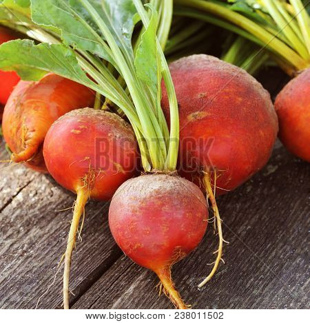 Organic Golden Beets On Rustic Wooden Background .