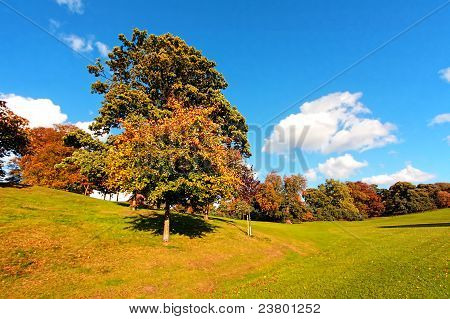 Bella autunno nel parco di Falkirk, in Scozia