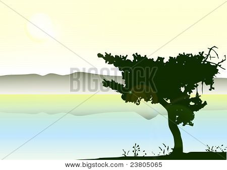 paesaggio