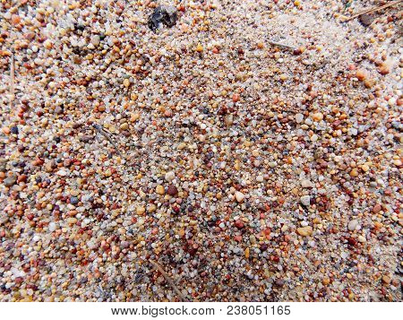 Most Amazing Texture A Wet Sandy Surface