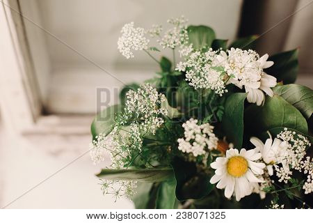 Anise And Chamomile Bouquet In Light At Rustic White Wooden Window In Light, Space For Text. Daisy A