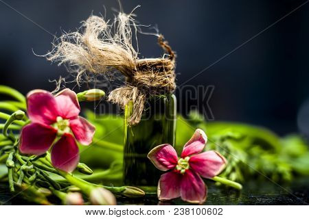 Ayurvedic And Floral Essence Of Rangoon Creeper Or Chinese Honeysuckle Or Madhumalti In A Transparen