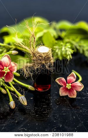 Red Colored Ayurvedic And Floral Essence Of Rangoon Creeper Or Chinese Honeysuckle Or Madhumalti In