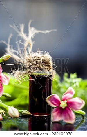 Red Colored Ayurvedic And Floral Essence Of Rangoon Creeper Or Chinese Honeysuckle Or Madhumalti In