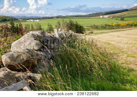 Summer landscape with old drystone dike along a field in riral Scotland UK