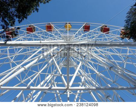 Amusement Park In Winter. The Ferris Wheel In The Forest Is Seen From The Ground.
