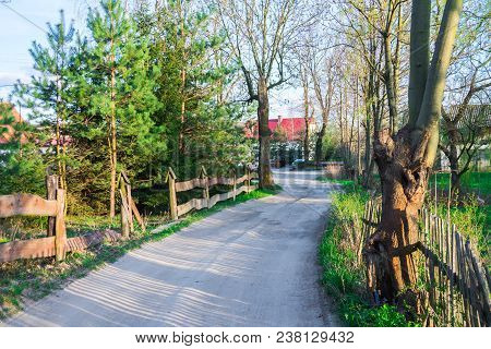 Curving Road Between Fields And Trees, Bad Road