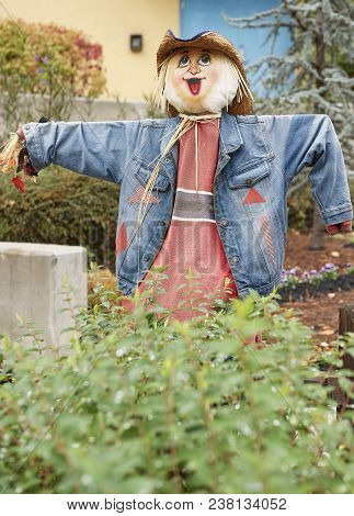 Halloween Scarecrows And Characters