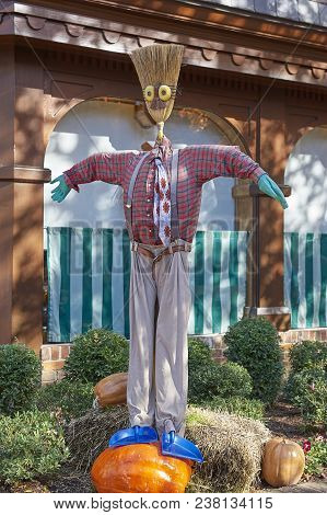 Halloween Scarecrows And Characters