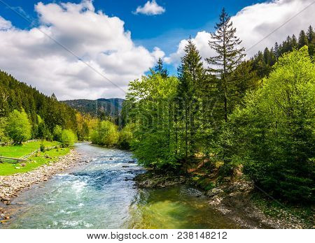 River Flows Among Of A Green Forest At The Foot Of The Mountain. Picturesque Nature Of Rural Area In