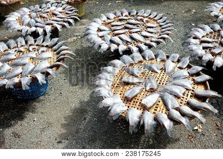 Dried Salted Damsel Fishes, Suitable For Food Concept.