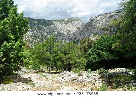 Supramonte Of Urzulei, In Background Gorropu Canyon