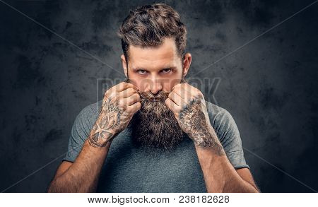 Brutal Bearded Male With Tattoos On Arms Touches His Moustache Over Grey Background.