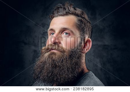 Brutal Bearded Male With Tattooed Arms Over Dark Grey Background.