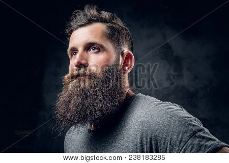 Brutal Bearded Male With Tattooed Arms Over Dark Grey Background.