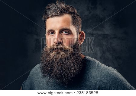 Brutal Bearded Male With Tattooed Arms Over Dark Grey Background.