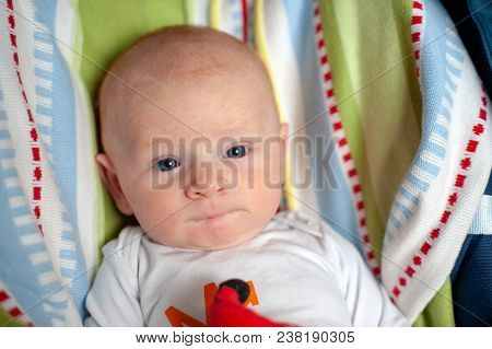 A Thoughtful Baby Bit His Lower Lip