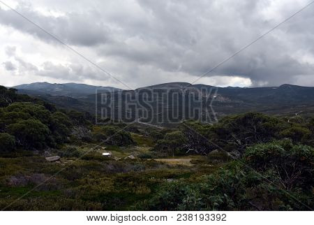 Walking Track At Charlotte Pass In The Snowy Mountains Of New South Wales, Australia.