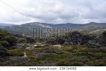 Walking Track At Charlotte Pass In The Snowy Mountains Of New South Wales, Australia.
