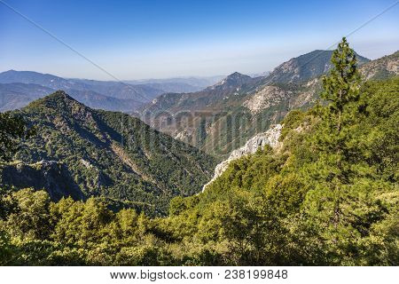 Scenic Landscape In Sequoia National Park With River Kaweah