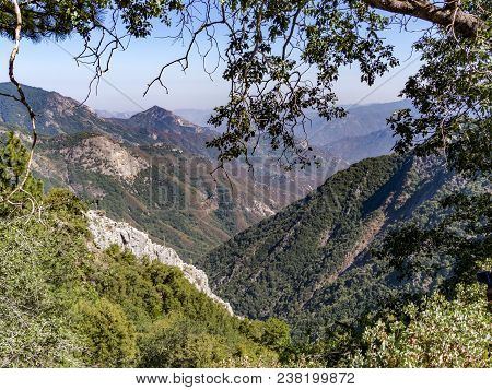 Scenic Landscape In Sequoia National Park With River Kaweah