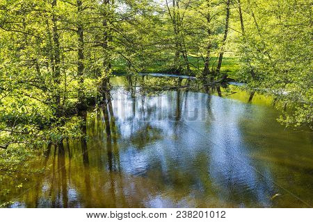 Small Creek Hafenlohr Flows Through The Dense Wild Forest In Bavaria, Germany